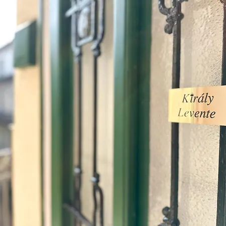 Kiraly Levente - Downtown Location With Ac 公寓