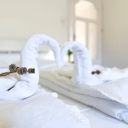 Kiraly Levente - Downtown Location With Ac